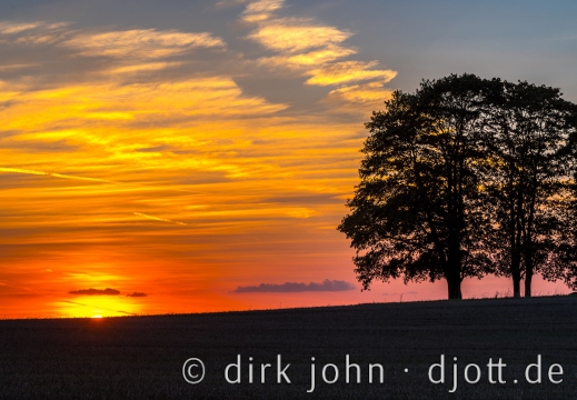 20180919191016 DJ 0128