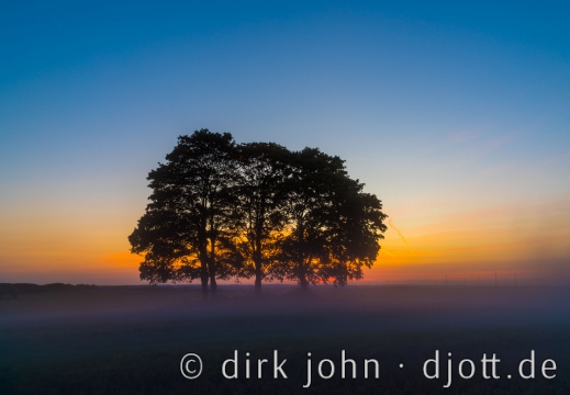 20180919192815 DJ 0199