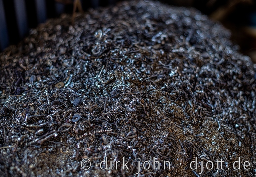20200807180925 DJ 0081 HDR
