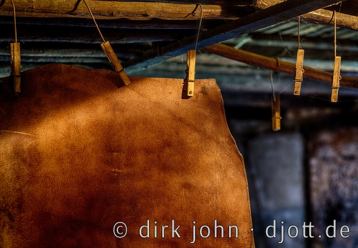 20211007105726 DJ 0149 HDR