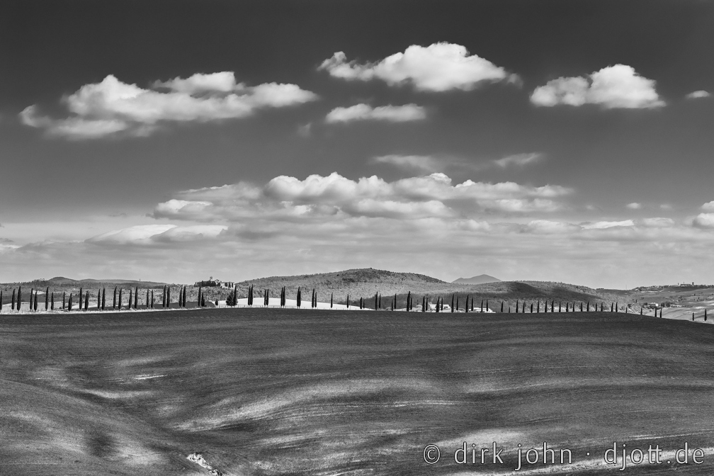 20220417151128_DJ_0409-bw.jpg