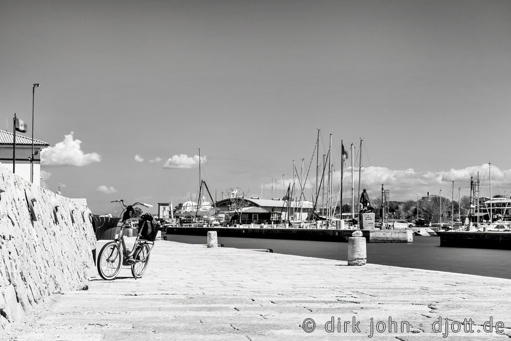 20220427132846_DJ_2451-bw.jpg