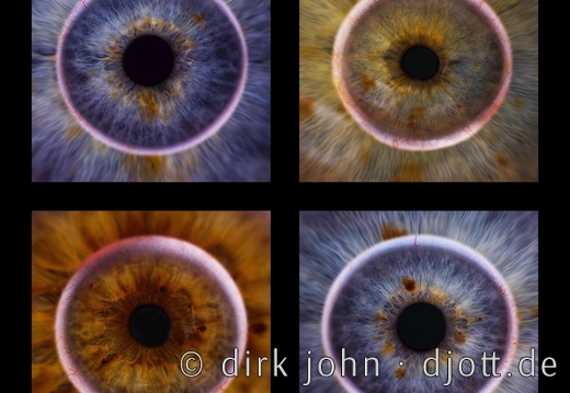 Schau mir in die Augen