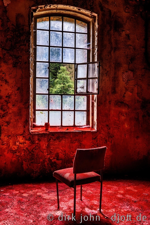 Der Blick ins Grüne.jpg